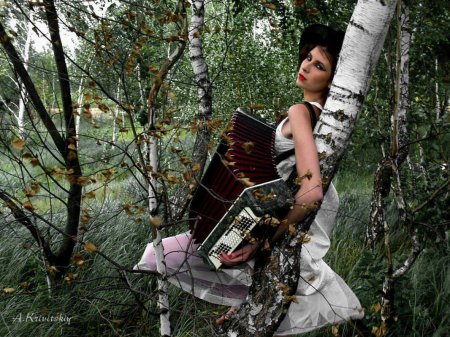 Девушка с гармонью