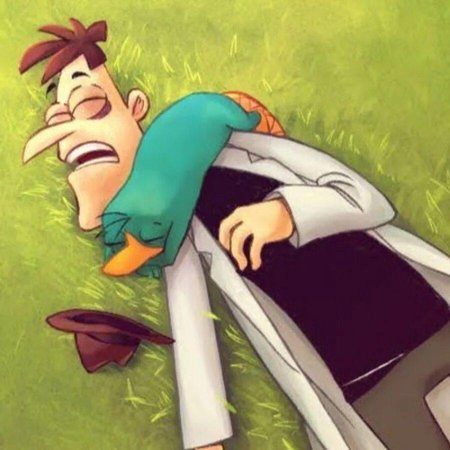 Фуфелшмерц и Перри