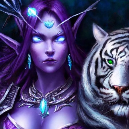 Ночной эльф варкрафт