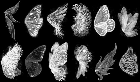 Крылья феи референс