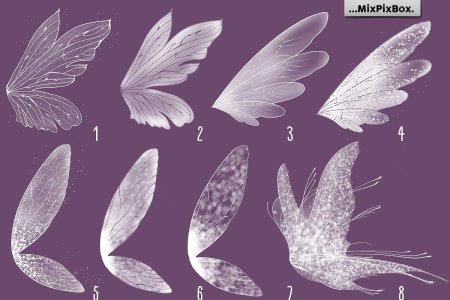 Крылья феи референс