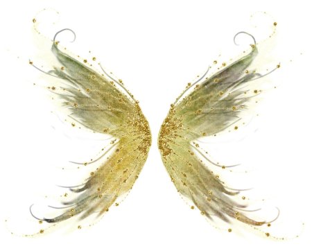 Крылышки феи