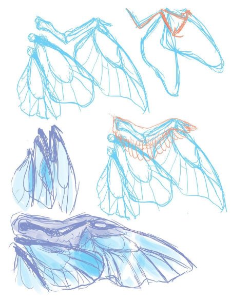 Крылья референс