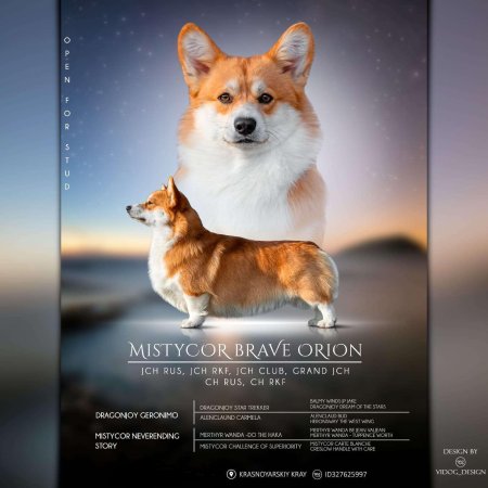 Мистикор Юстас Спейс