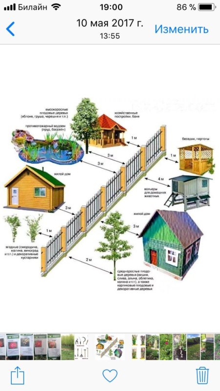 Схема построек на участке от соседей забора