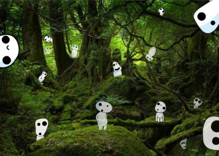 Кодама дух дерева принцесса Мононоке