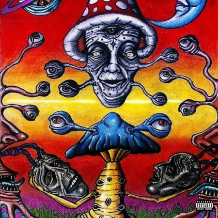 Психоделические грибы