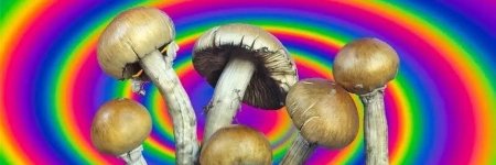 Галлюциногенные грибы наркомания