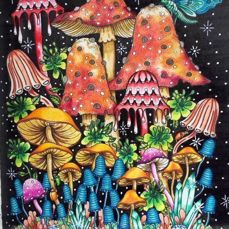 Трип грибы псилоцибы