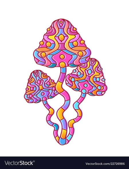 Психоделические грибы