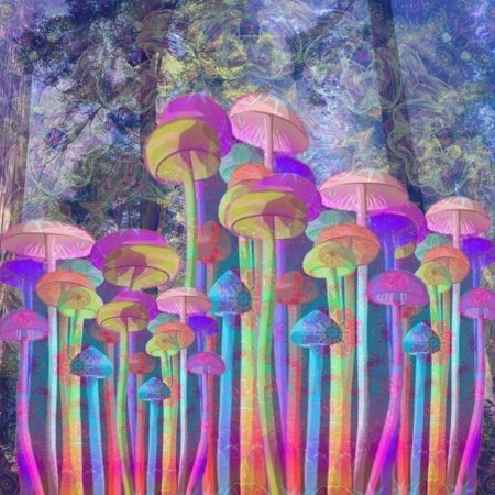 Псилоцибиновые(галлюциногенные) грибы