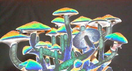 Псилоцибин трип