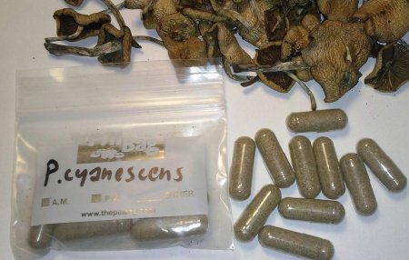 Галлюциногены наркотики