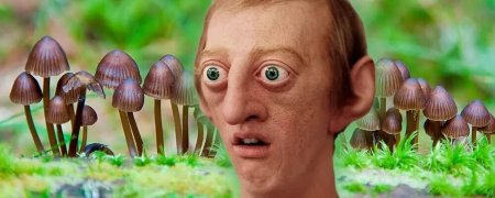 Михаил Вишневский галлюциногенные грибы