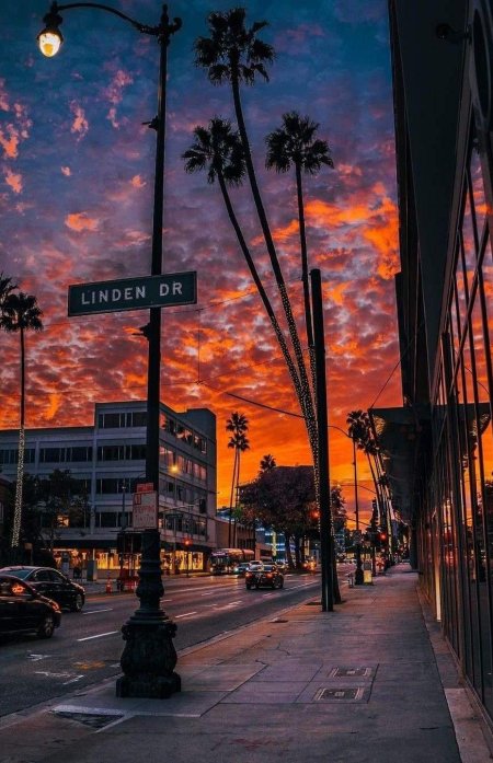 Лос-Анджелес Калифорния США