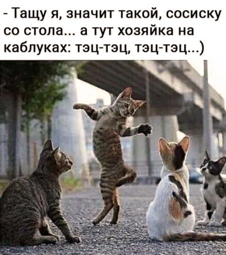 Пардон картинки