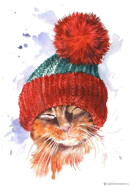 Кот в шапке