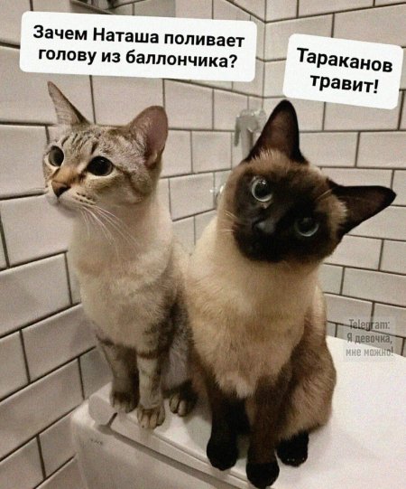 Наташа зачем мы в это ввязались