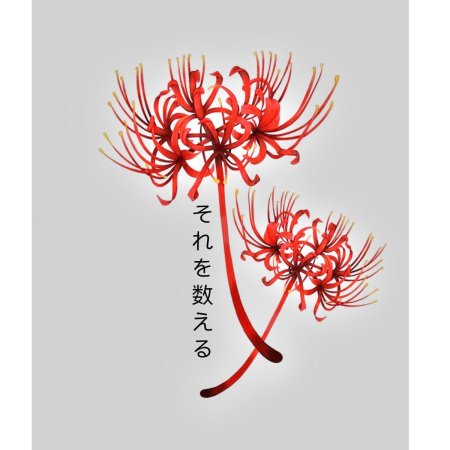 Хиганбана ликорис