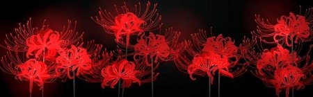 Ликорис Лучистый Токийский гуль