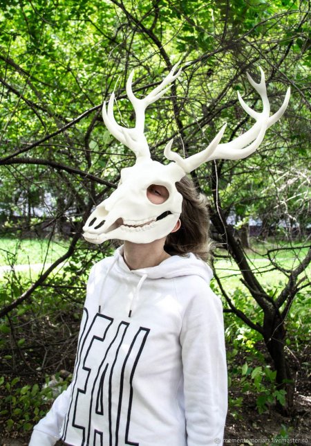 Фурсьют череп оленя