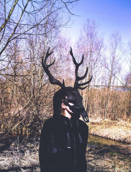 Фурсьют череп оленя