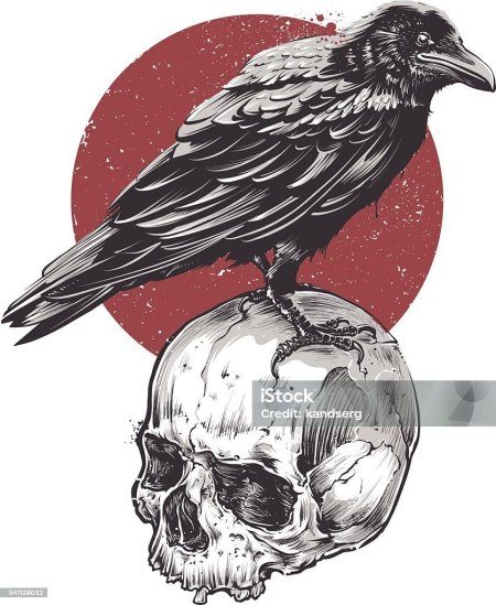 Черный ворон тату эскизы