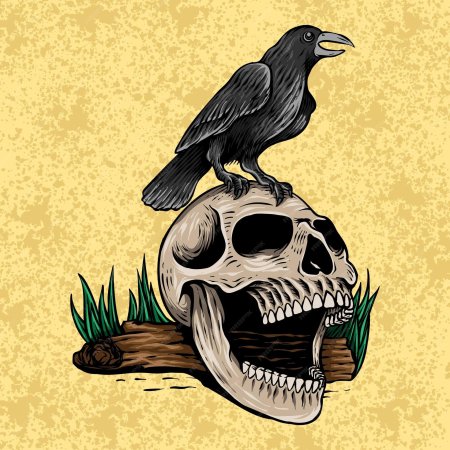 Череп ворона рисунок