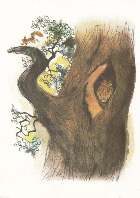 Дерево с дуплом