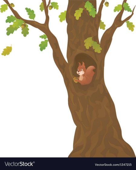 Осеннее дерево с дуплом