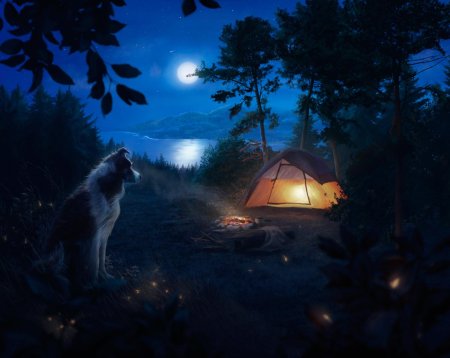 Палатка в лесу