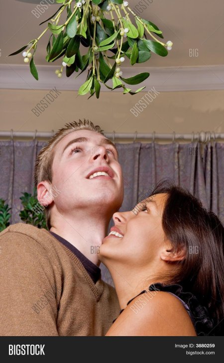 Поцелуй под омелой фильм 2017