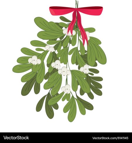 Веточка омелы