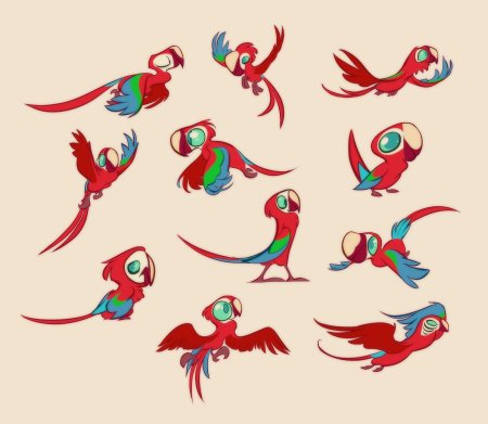 Попугай ара референс