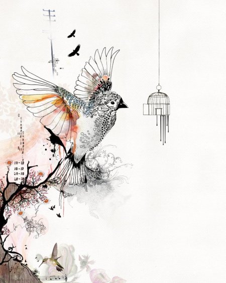 Птица рисунки