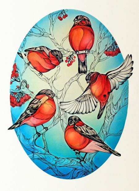 Снегири рисунки