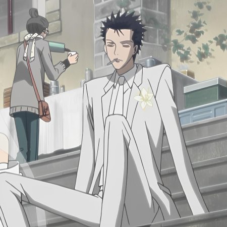 Врата штейна окабе