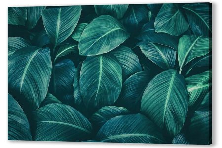 Тропики акварель фотообои