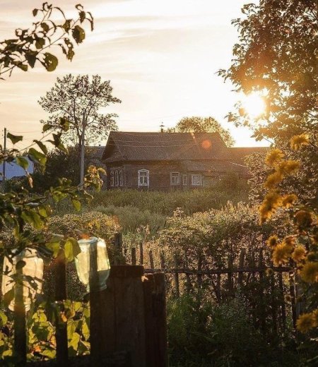 Утро в деревне