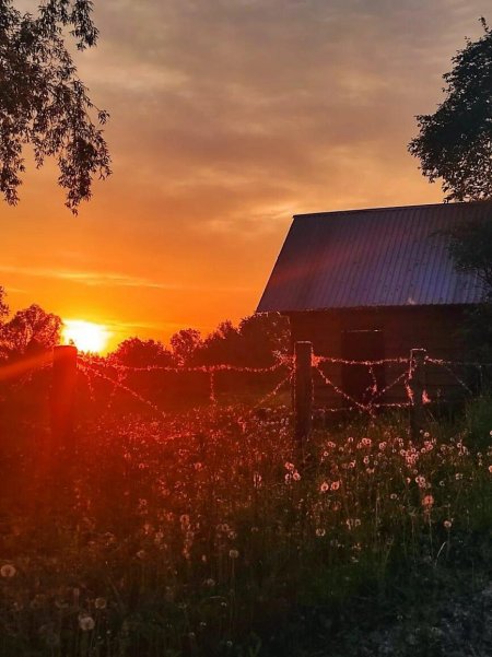 Закат в деревне летом