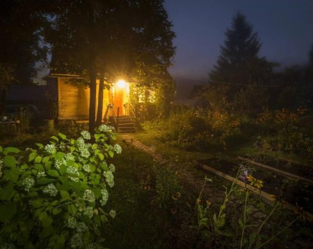 Вечер на даче