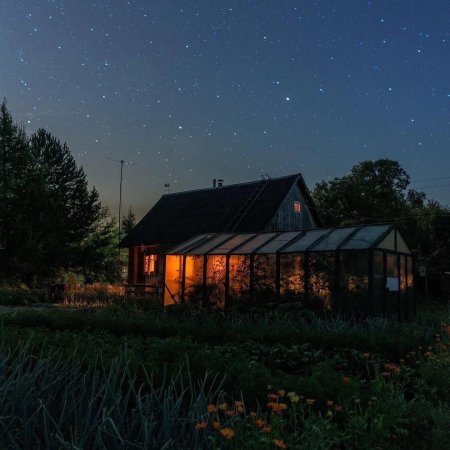 Летняя ночь в деревне