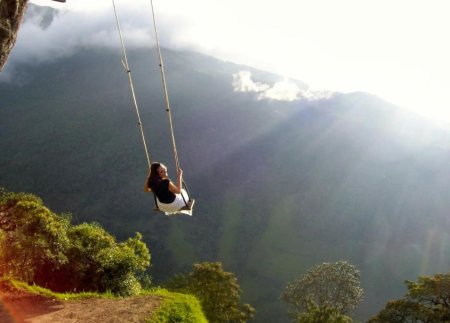 Роза пик тарзанка