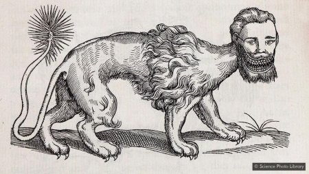 Средневековая гравюра Мантикора