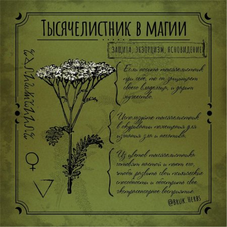 Магические травы и растения ведьм таблица