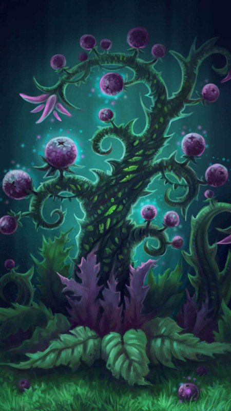 Волшебные растения