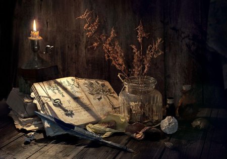 Обитель Лесной ведьмы травник