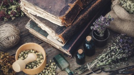 Обитель Лесной ведьмы травник