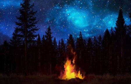 Ночной костер в лесу