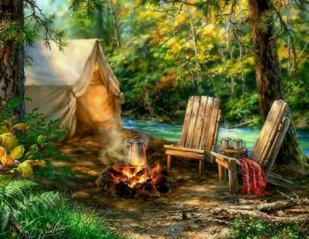 Пикник в лесу